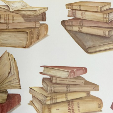 LIBROS   CRT535 CARTONAJE ROSSI 70X50