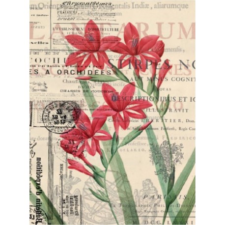 PAPEL ARROZ  CADENCE LIRIO ROJO   MOD PA056