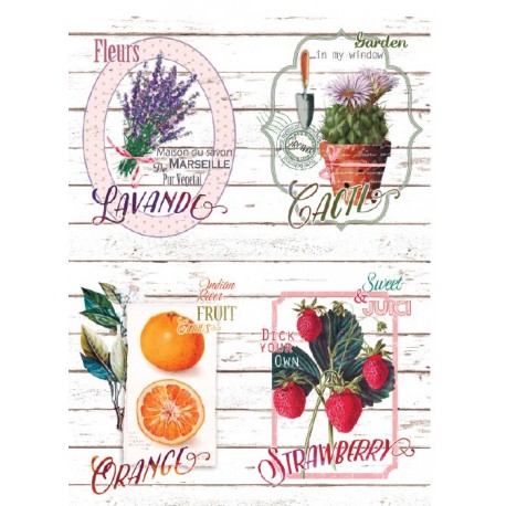PAPEL ARROZ  CADENCE FLEURS CACTUS MOD PA372
