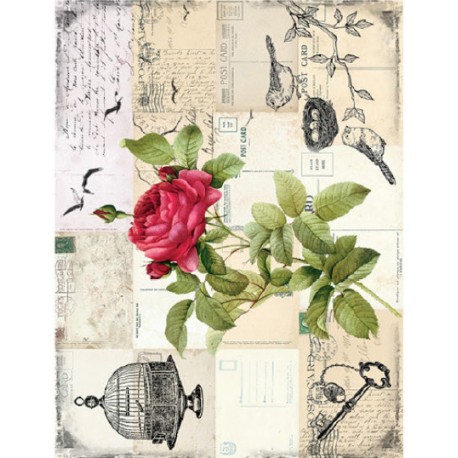 PAPEL ARROZ  CADENCE ROSA Y NIDOS MOD PA446