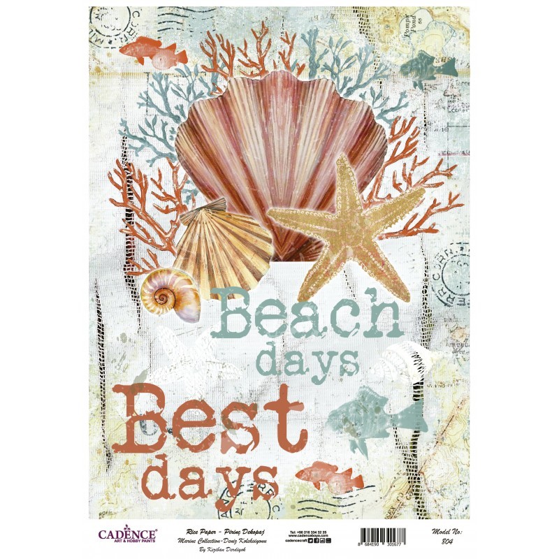 PAPEL ARROZ  CADENCE MARINERO  CONCHA A3 BEACH DAYS