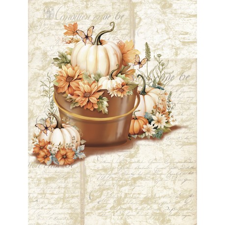 PAPEL ARROZ JAPONES  MONTEJO  A3 YOBANKA   CALABAZA DECOUPAGE