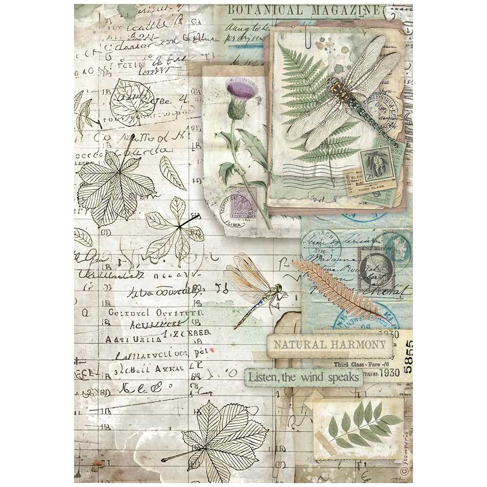 BOTANICO HERBARIUM  A4   STAMPERIE CRISTINA RADOVAN