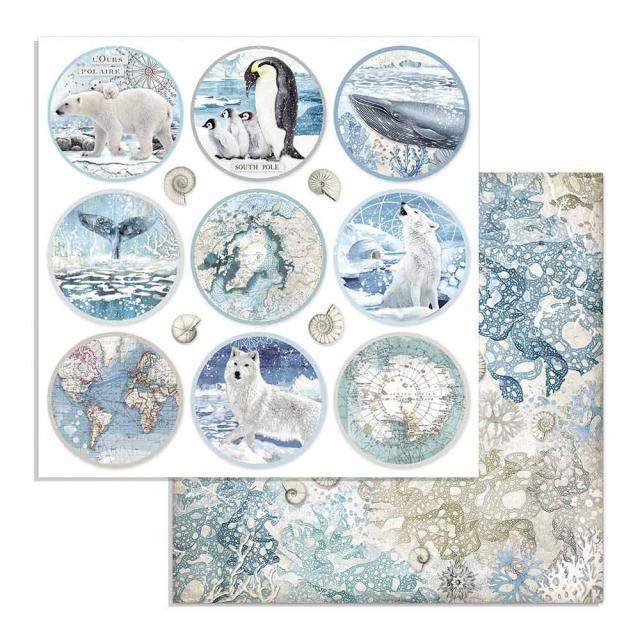 ARTIC ANTARTIC   CIRCULOS  STAMPERIE  30,5X30,5 SCRAP SBB731