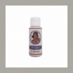 THE CAPRICHO Z002 GRIS ALUMINIO 60ML